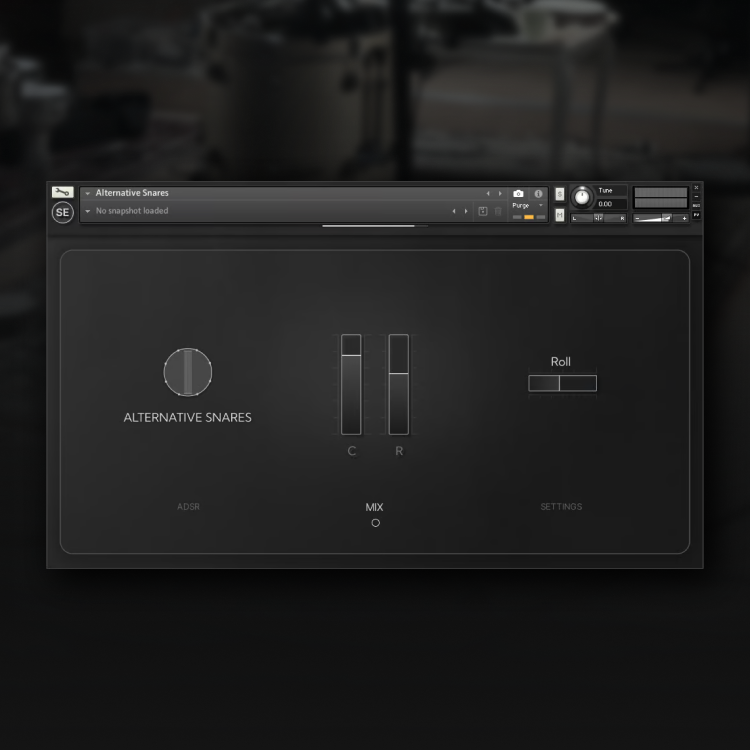 ALTERNATIVE SNARES